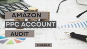 Amazon PPC Account Audit
