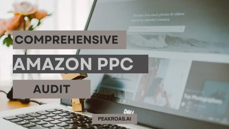 Amazon PPC Audit