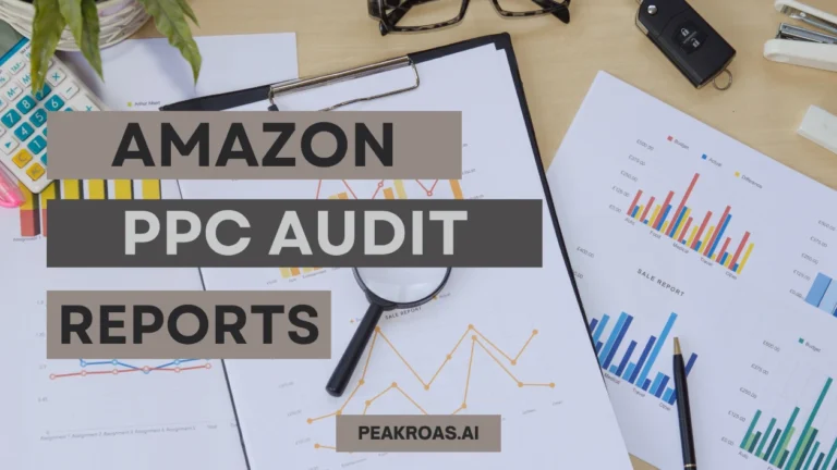 Amazon PPC Audit Reports