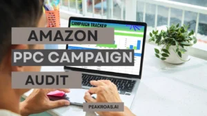 Amazon PPC Campaign Audit