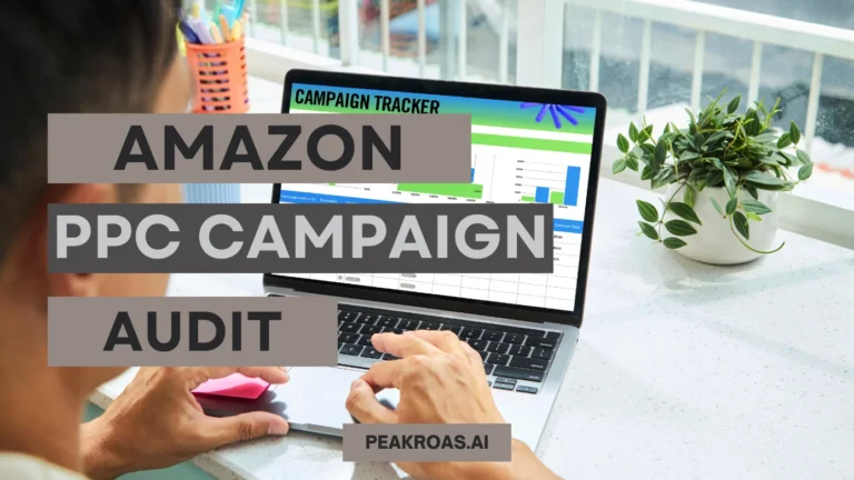 Amazon PPC Campaign Audit