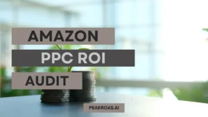 Amazon PPC ROI Audit