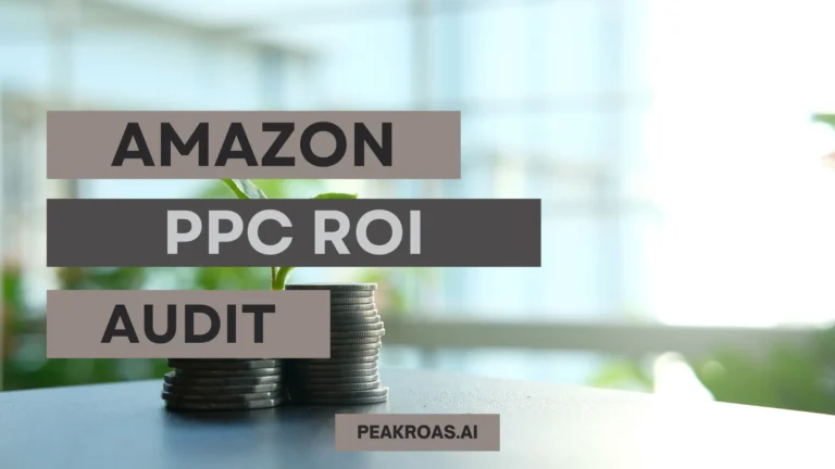 Amazon PPC ROI Audit
