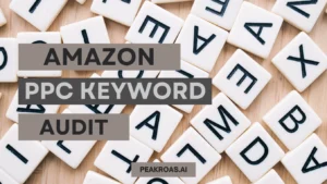 Amazon PPC Keyword Audit